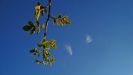 DSC09991