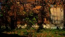 DSC09724